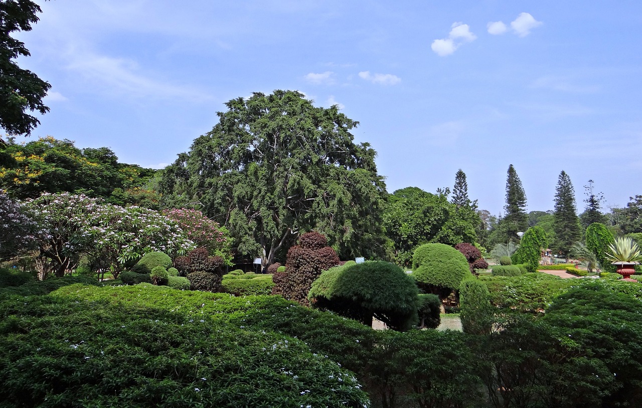 新疆红河城市管廊，绿色发展的未来之脉