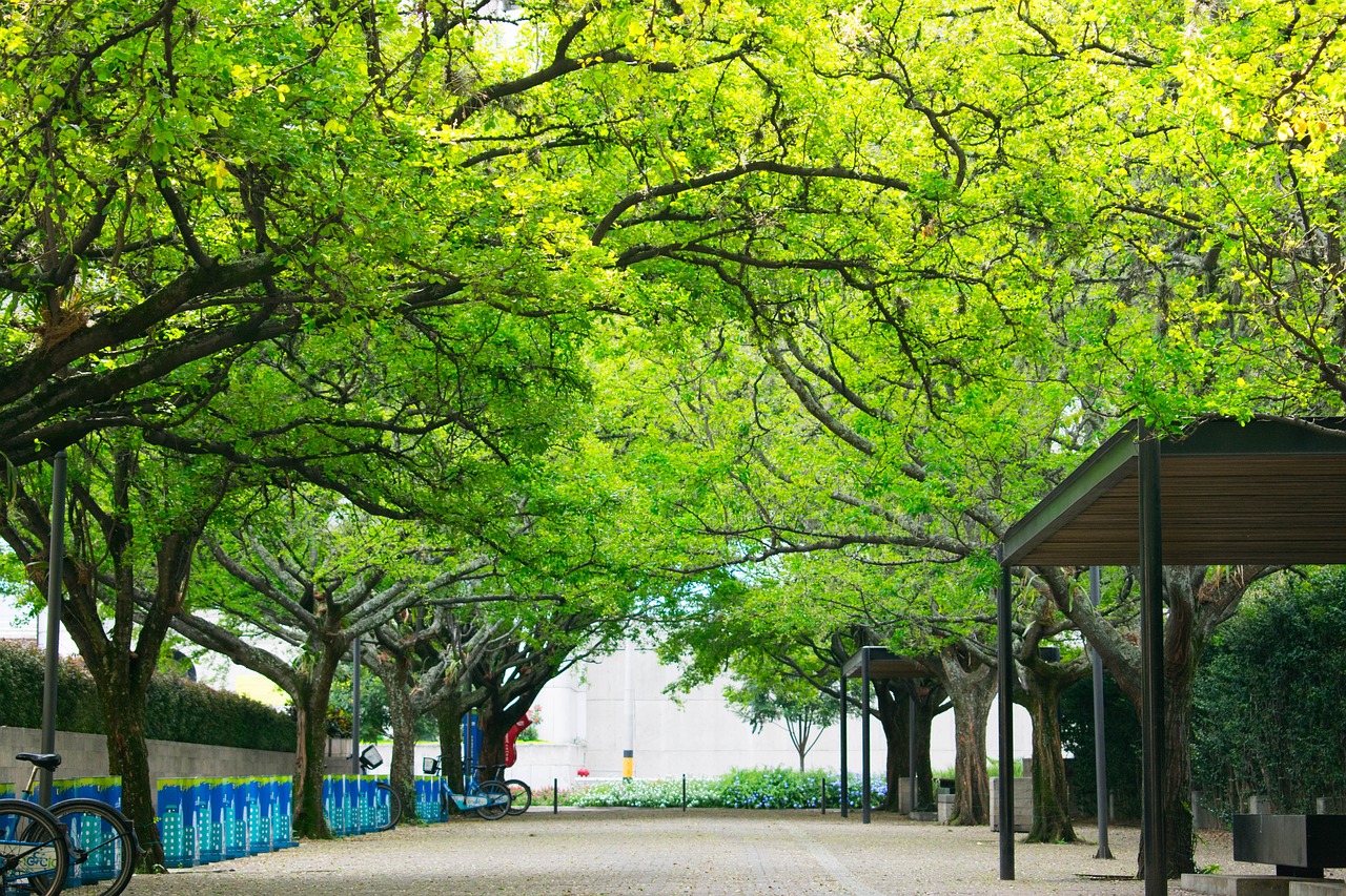 鹰潭城市综合管廊厂家，构建绿色智慧城市的新引擎